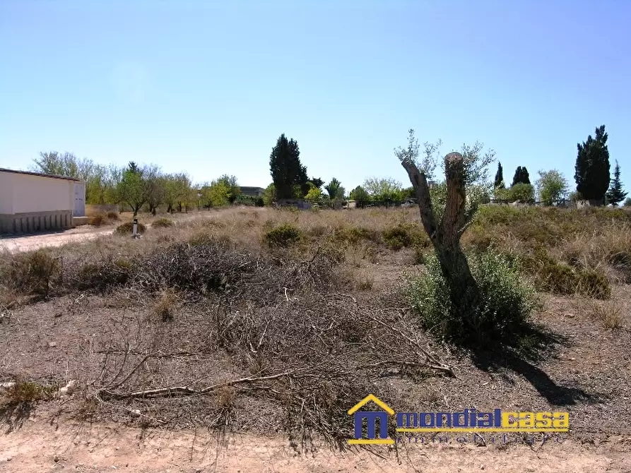 Immagine 2 di Terreno in vendita  a Pachino