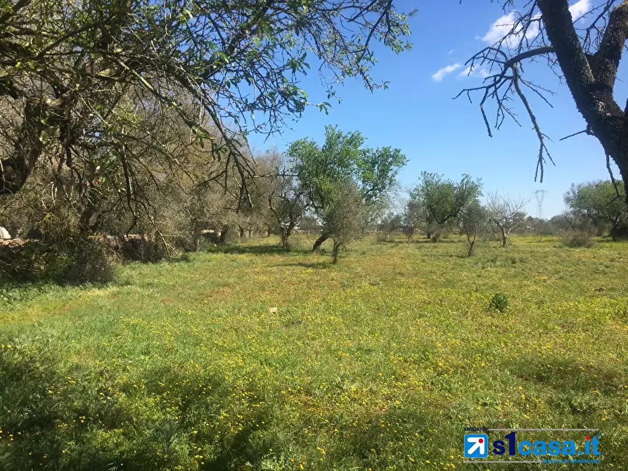 Immagine 5 di Terreno in vendita  a Galatina