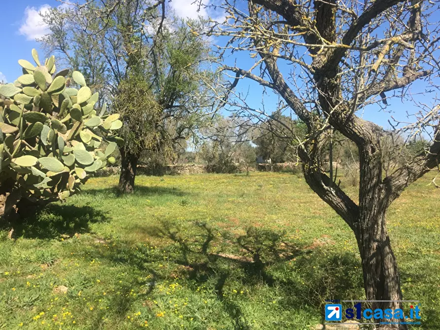 Immagine 9 di Terreno in vendita  a Galatina