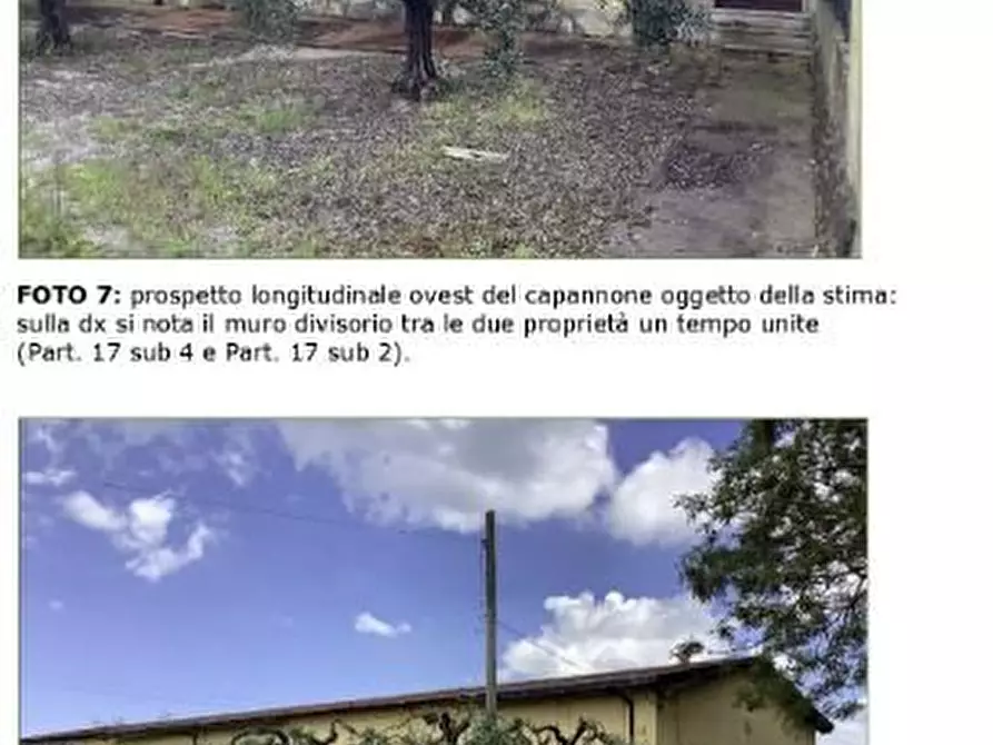 Immagine 1 di Attività artigianale in vendita  332 a Latina