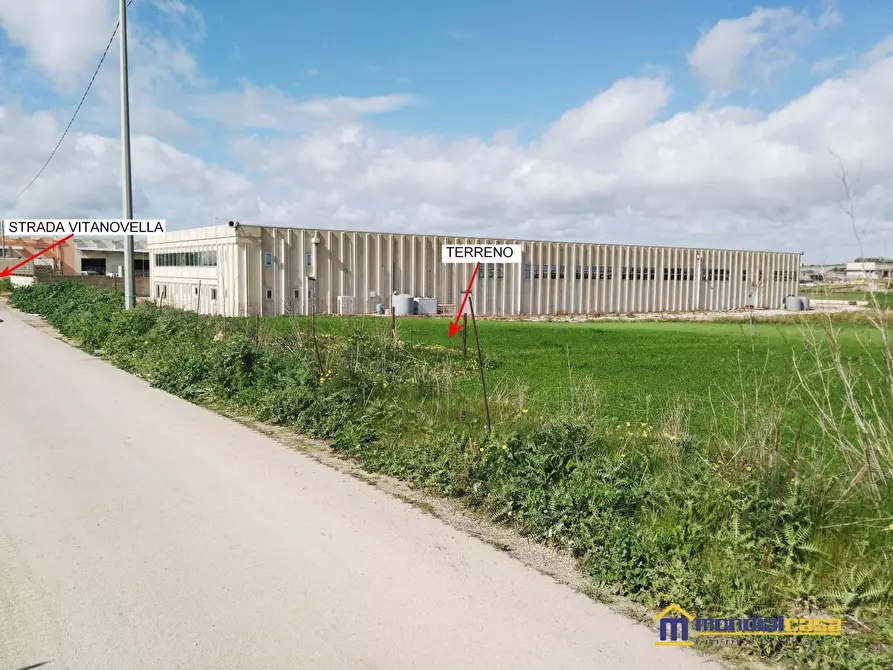 Immagine 2 di Terreno in vendita  a Pachino