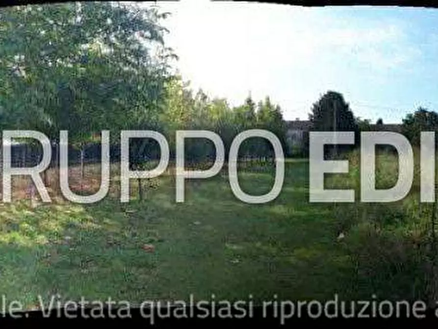 Immagine 3 di Negozio in vendita  26 a Breganze