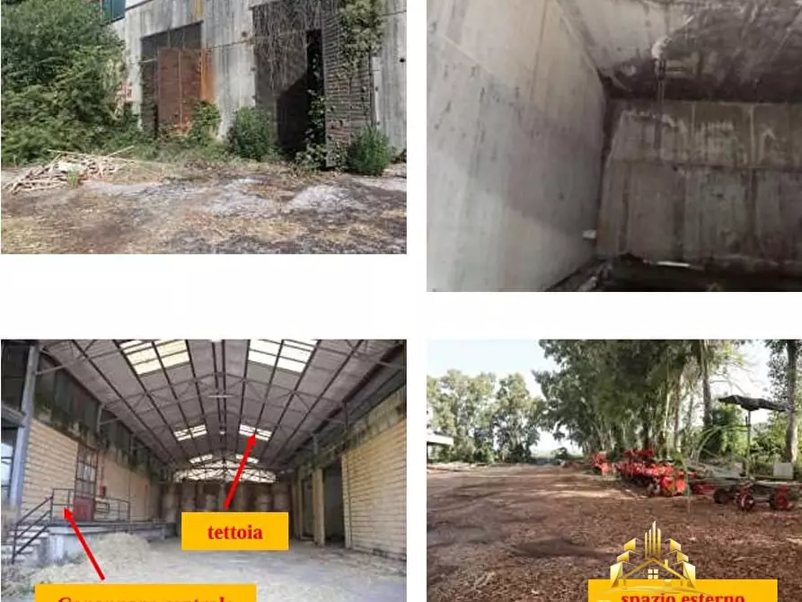 Immagine 5 di Negozio in vendita  a Ciorlano