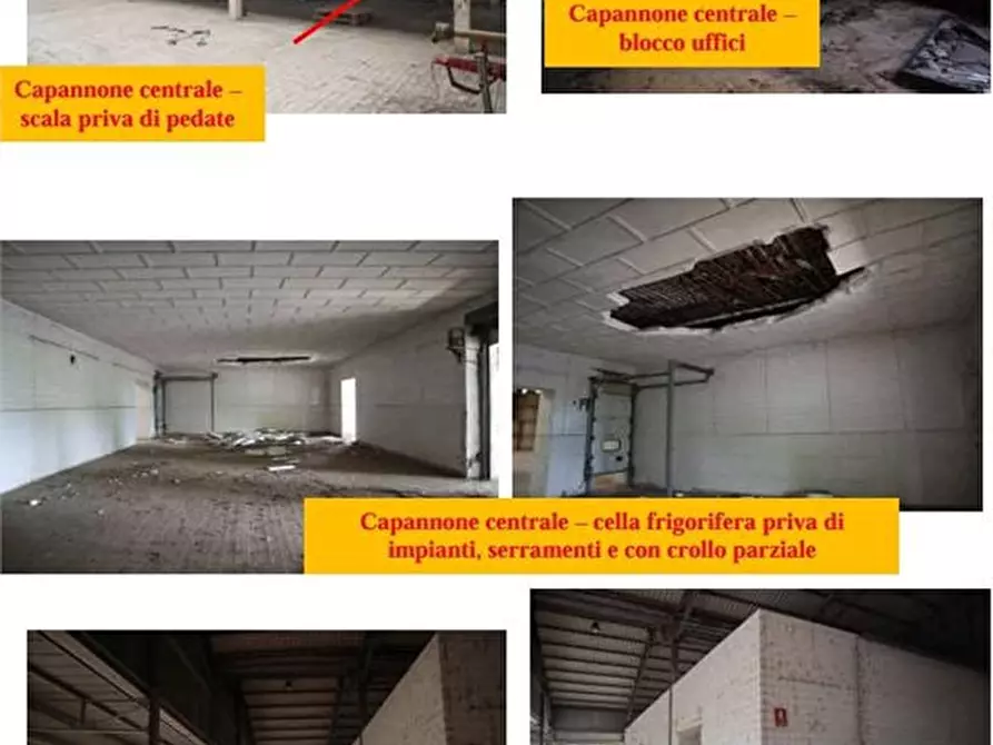 Immagine 4 di Negozio in vendita  a Ciorlano