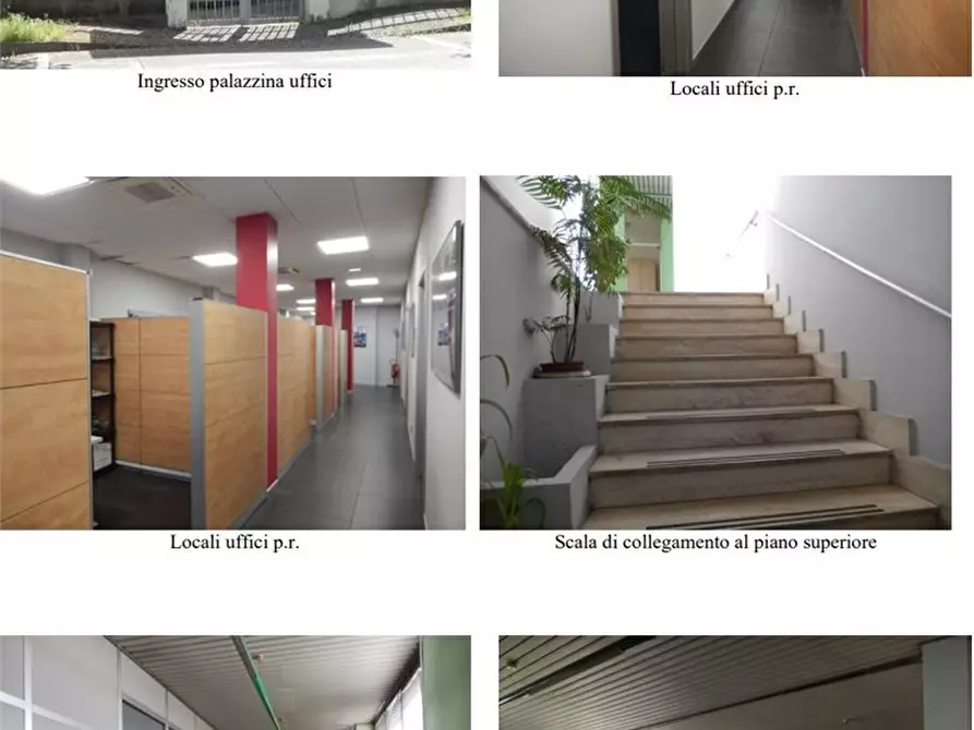 Immagine 4 di Negozio in vendita  a Nichelino