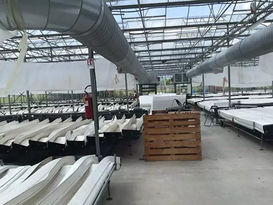 Immagine 9 di Negozio in vendita  32 a Grugliasco