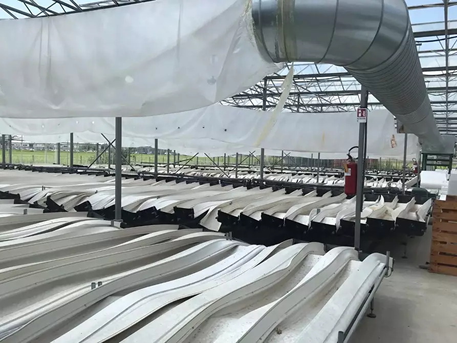 Immagine 10 di Negozio in vendita  32 a Grugliasco