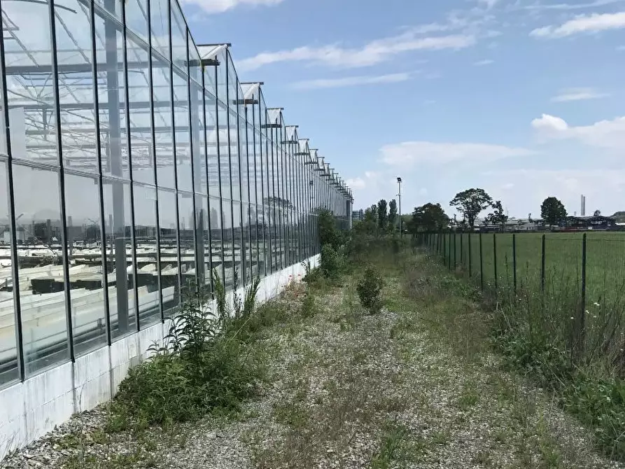 Immagine 7 di Negozio in vendita  32 a Grugliasco