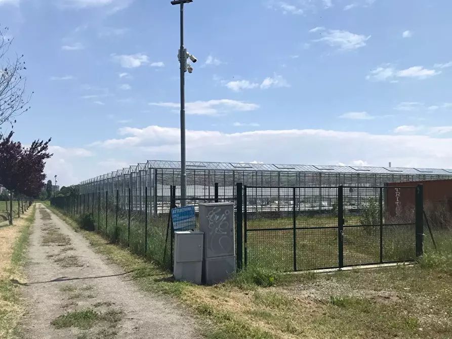 Immagine 6 di Negozio in vendita  32 a Grugliasco