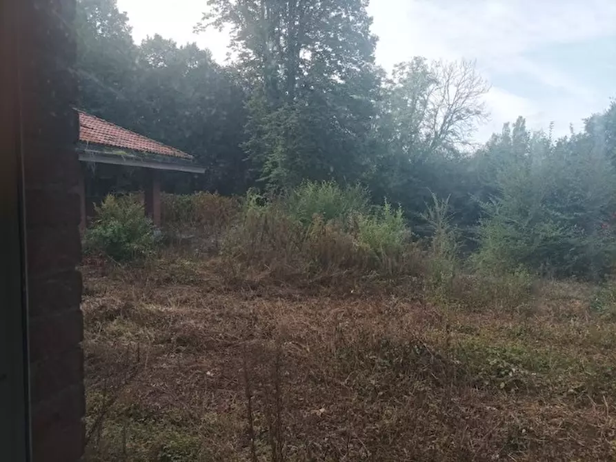 Immagine 6 di Casa indipendente in vendita  2 a Nichelino