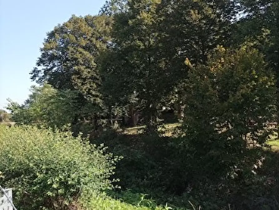 Immagine 2 di Casa indipendente in vendita  2 a Nichelino