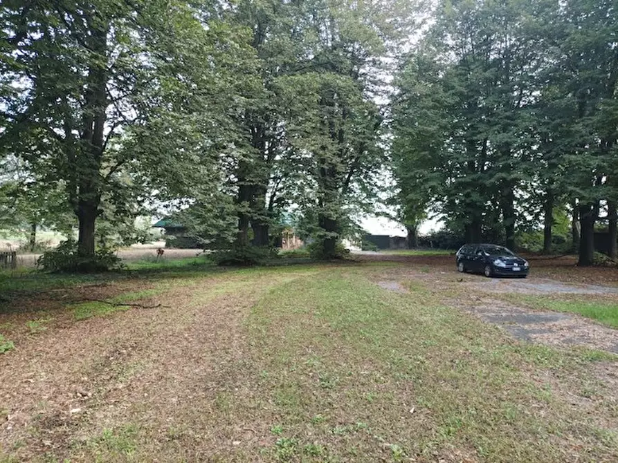 Immagine 5 di Casa indipendente in vendita  2 a Nichelino