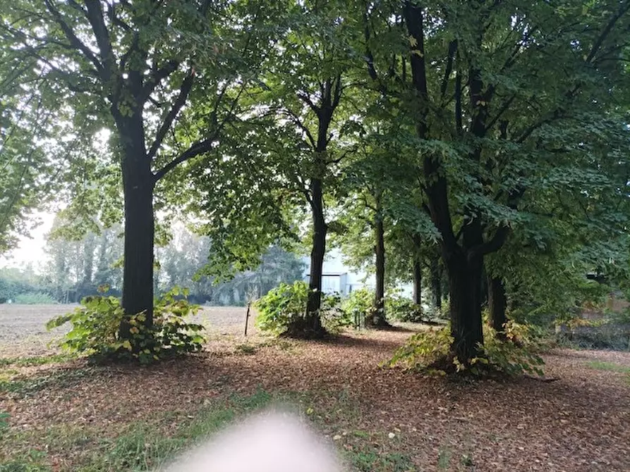 Immagine 4 di Casa indipendente in vendita  2 a Nichelino