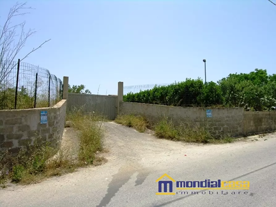 Immagine 2 di Terreno in vendita  a Noto