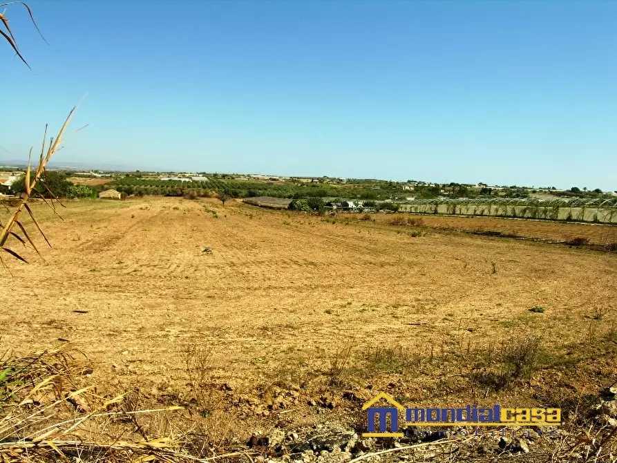 Immagine 2 di Terreno in vendita  a Pachino