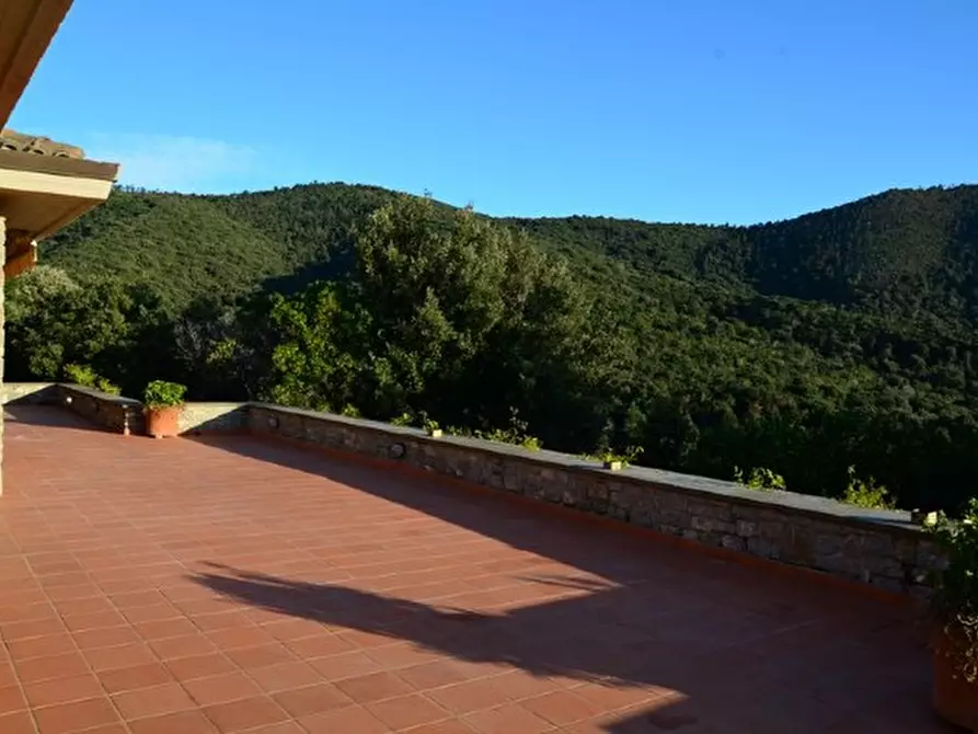 Immagine 4 di Appartamento in vendita  a Castiglione Della Pescaia