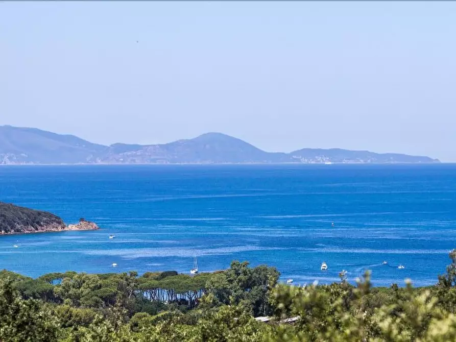 Immagine 2 di Appartamento in vendita  a Castiglione Della Pescaia