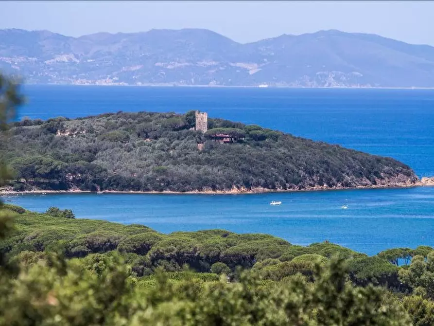 Immagine 1 di Appartamento in vendita  a Castiglione Della Pescaia