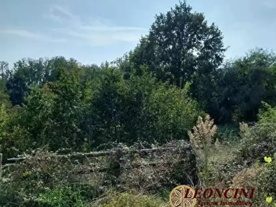 Immagine 8 di Rustico / casale in vendita  snc a Bagnone