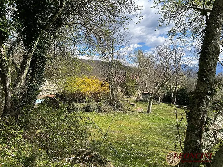 Immagine 9 di Rustico / casale in vendita  a Fivizzano