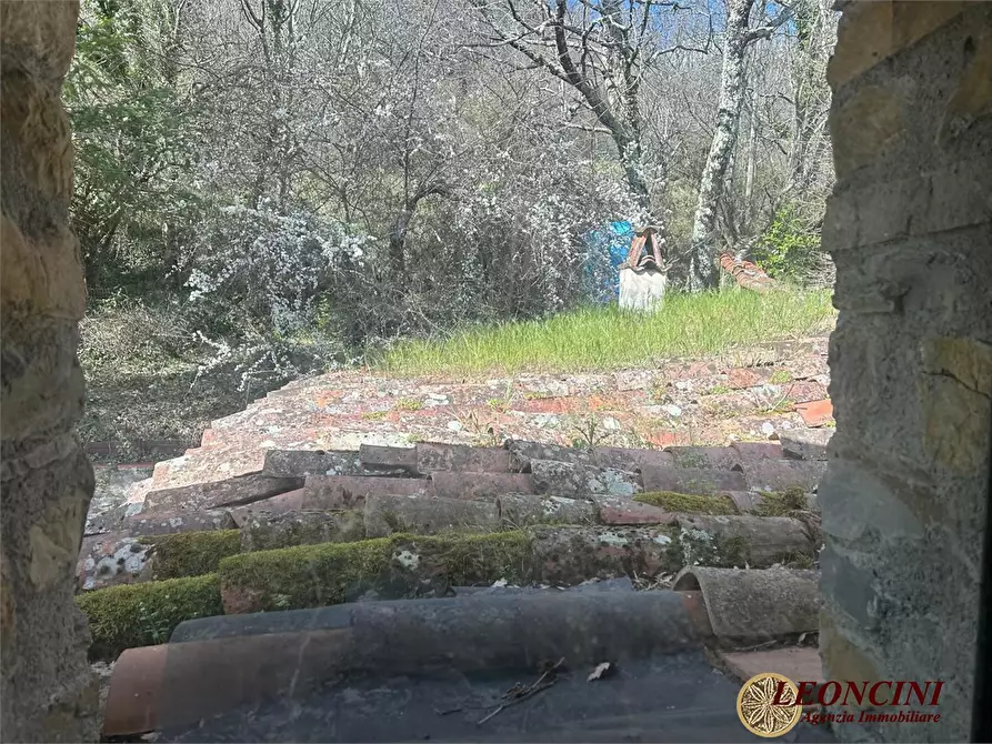 Immagine 6 di Rustico / casale in vendita  a Fivizzano