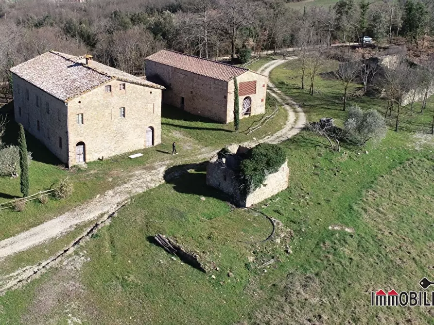 Immagine 2 di Rustico / casale in vendita  a Casole D'elsa