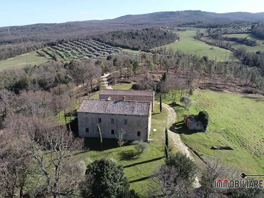 Immagine 3 di Rustico / casale in vendita  a Casole D'elsa