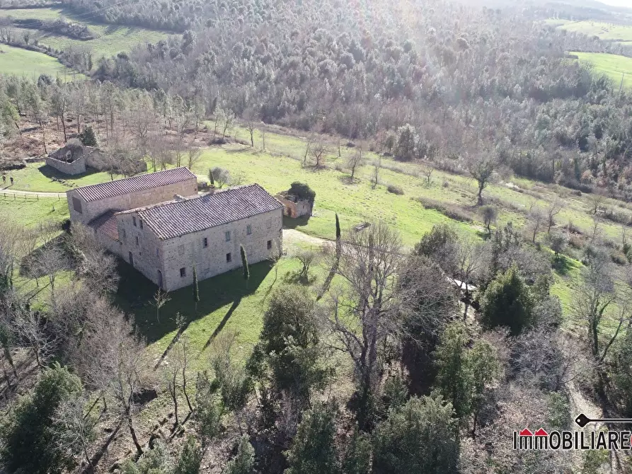 Immagine 4 di Rustico / casale in vendita  a Casole D'elsa
