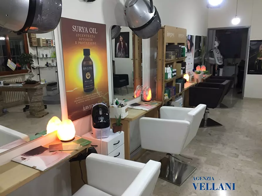 Immagine 5 di Licenza in vendita  a San Prospero