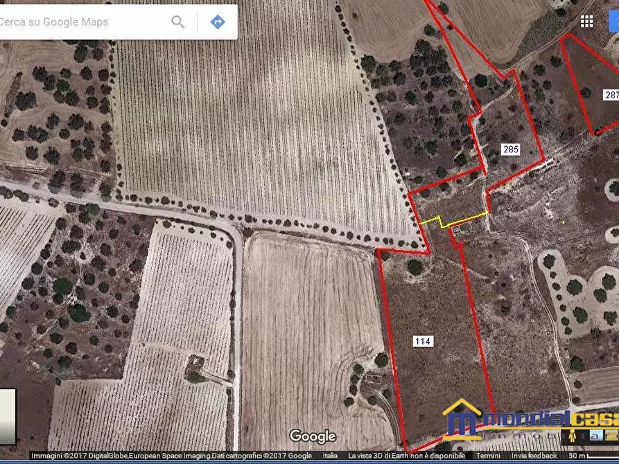 Immagine 3 di Terreno in vendita  a Noto