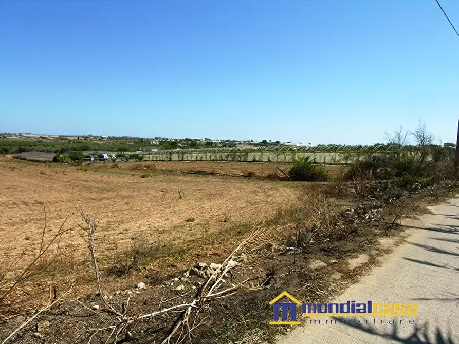 Immagine 3 di Terreno in vendita  a Pachino