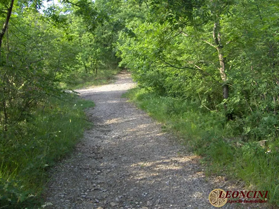 Immagine 6 di Rustico / casale in vendita  22 a Villafranca In Lunigiana