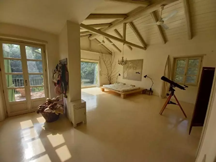 Immagine 5 di Villa in vendita  68 a Pino Torinese