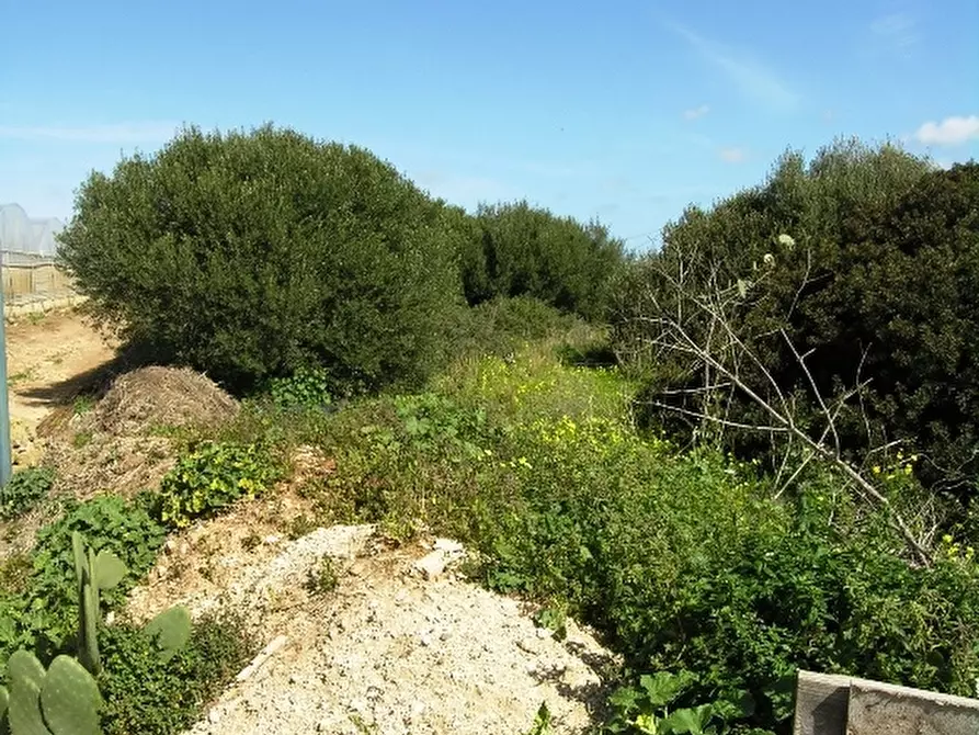 Immagine 3 di Terreno in vendita  a Portopalo Di Capo Passero