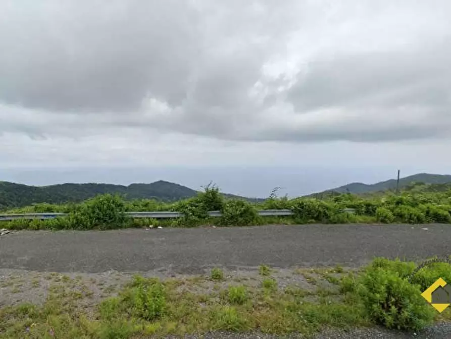 Immagine 1 di Terreno in vendita  snc a Genova