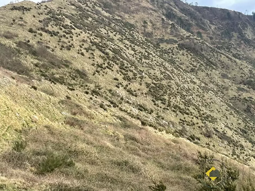Immagine 5 di Terreno in vendita  snc a Genova