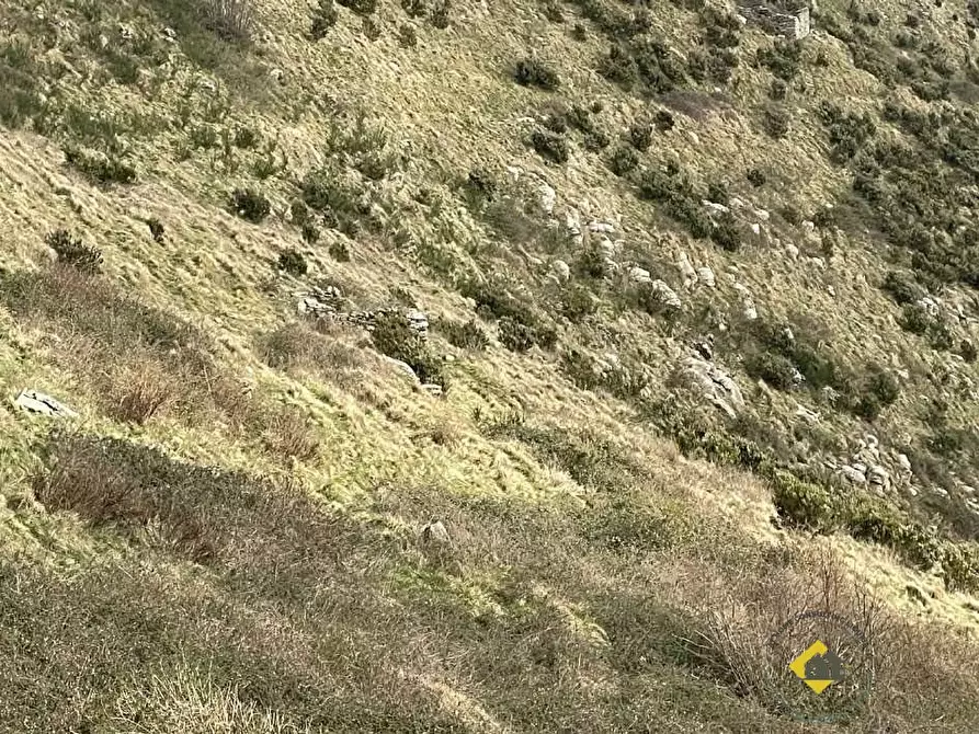 Immagine 6 di Terreno in vendita  snc a Genova