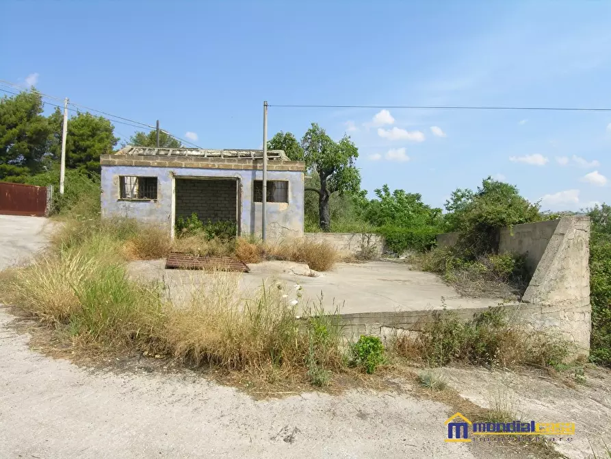 Immagine 4 di Terreno in vendita  a Noto