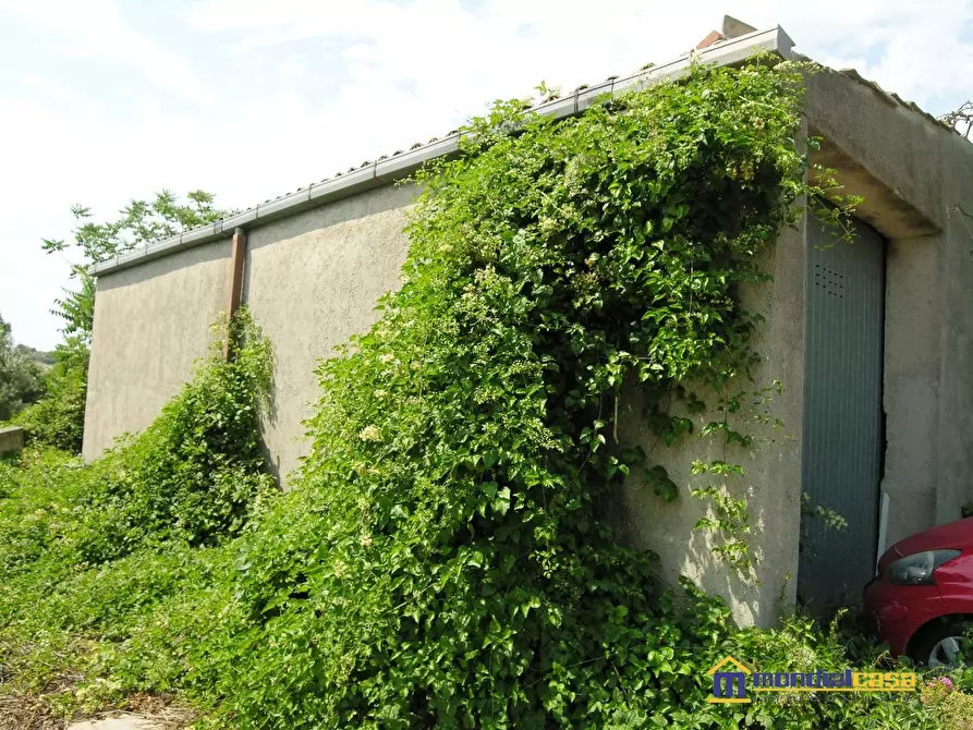 Immagine 7 di Terreno in vendita  a Noto