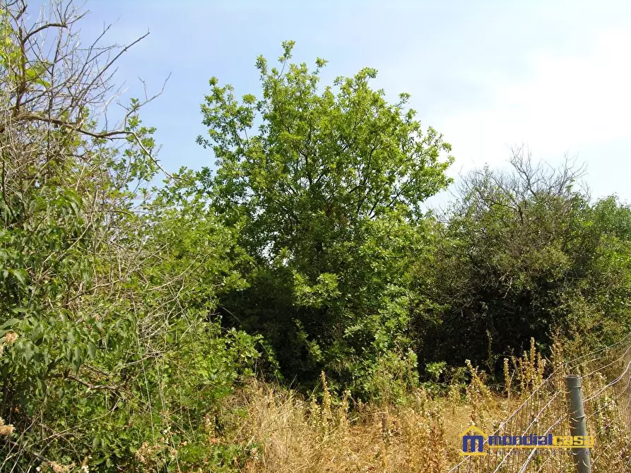 Immagine 10 di Terreno in vendita  a Noto