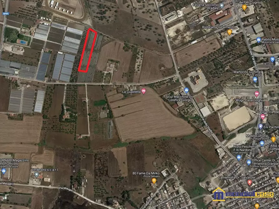 Immagine 2 di Terreno in vendita  a Pachino