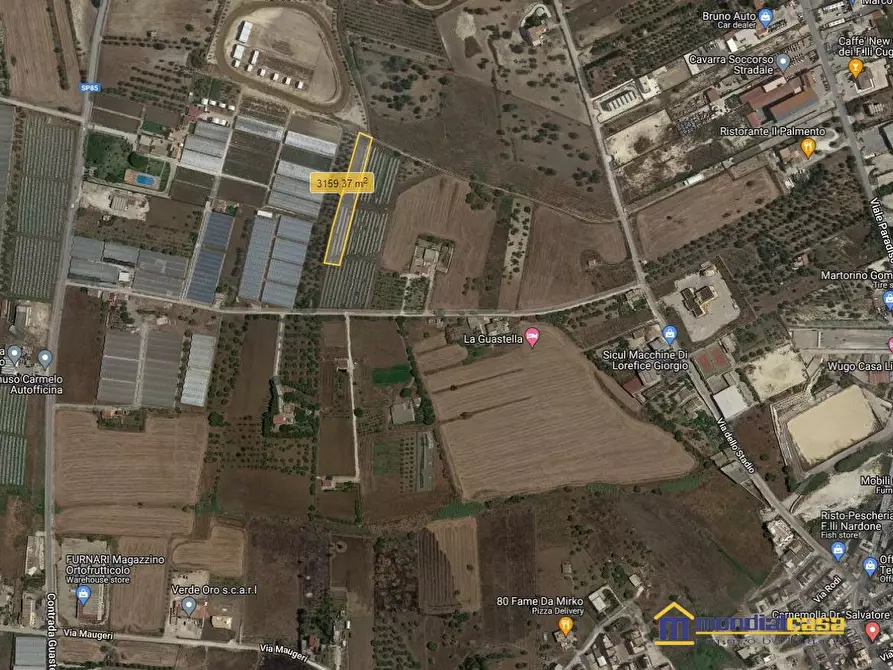 Immagine 3 di Terreno in vendita  a Pachino