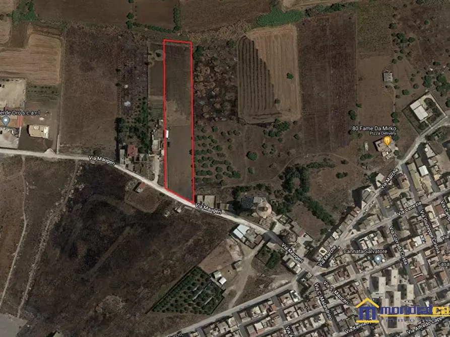 Immagine 2 di Terreno in vendita  a Pachino