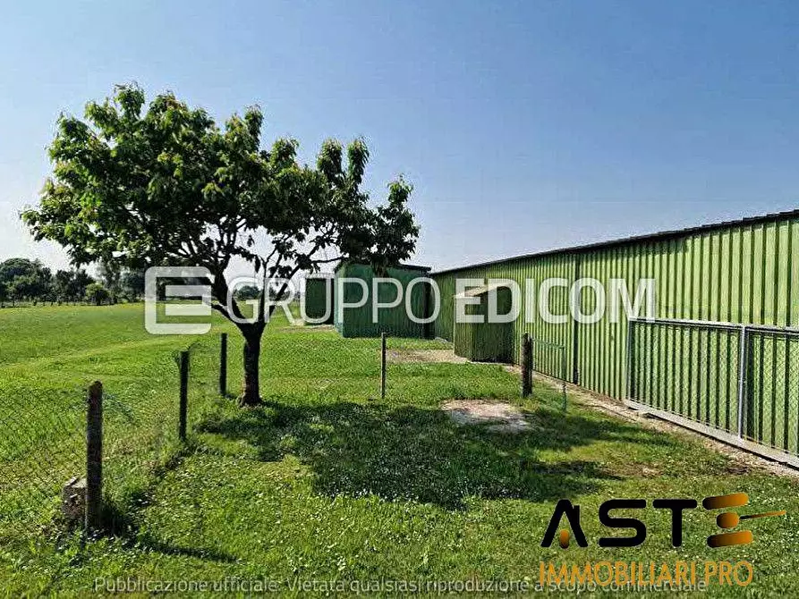 Immagine 4 di Terreno in vendita  19 a Caerano Di San Marco