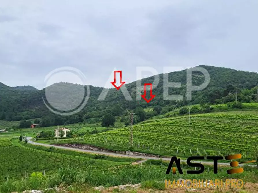 Immagine 1 di Terreno in vendita  a Montegrotto Terme