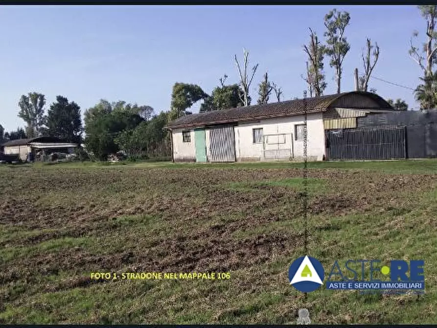 Immagine 1 di Terreno in vendita  49 a Cisterna Di Latina