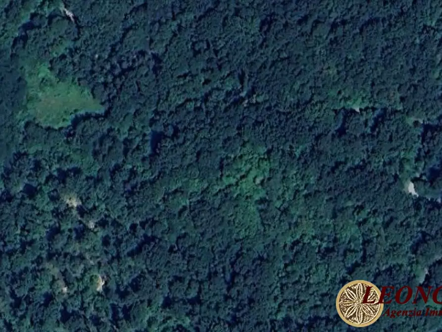 Immagine 3 di Terreno in vendita  a Bagnone