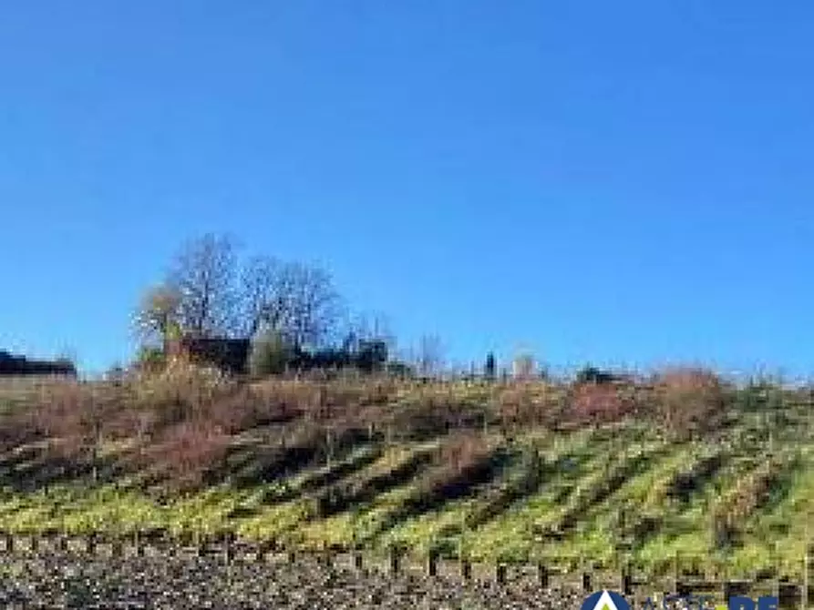 Immagine 1 di Terreno in vendita  a San Miniato