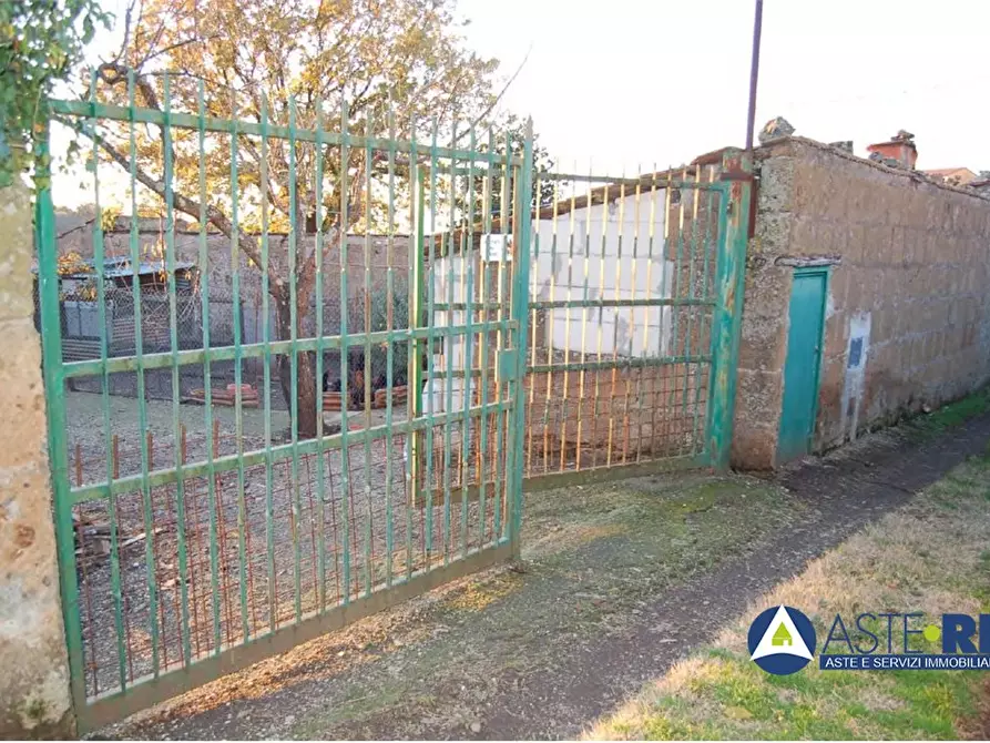 Immagine 4 di Terreno in vendita  SNC a Vetralla