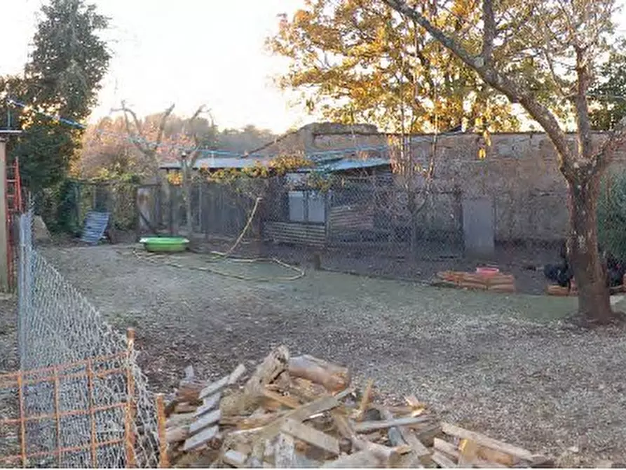 Immagine 2 di Terreno in vendita  SNC a Vetralla